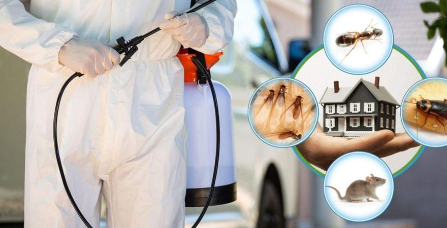 Çameli Böcek İlaçlama