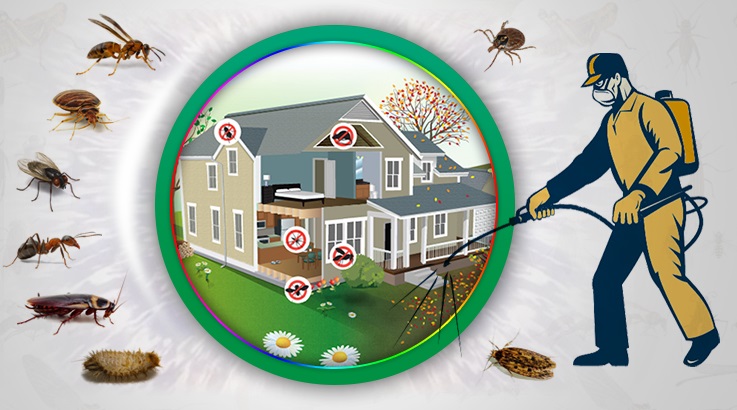 Çameli Böcek İlaçlama