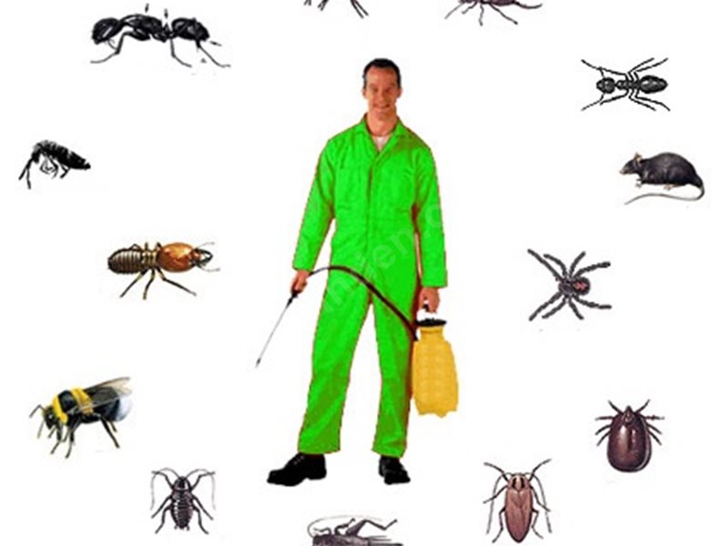 Çameli Böcek İlaçlama